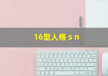 16型人格 s n